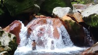 melepas lelah perjalanan dengan menikmati sejuknya aliran sungai Curug Seribu
