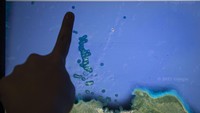 Berada sekitar 160 kilometer dari wilayah ibukota di daratan Jawa dan menyendiri di sisi paling utara Kepulauan Seribu membuat Pulau Sabira sempat luput dari perhatian pemerintah.  