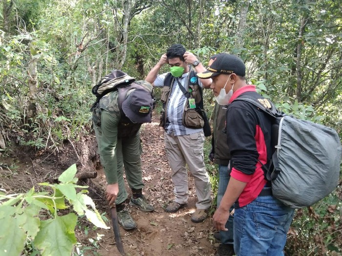 Perburuan Lutung Jawa masih saja terjadi. Potongan tubuh lutung ditemukan ProFauna Indonesia di dekat Dusun Perinci, Kecamatan Dau, Kabupaten Malang.