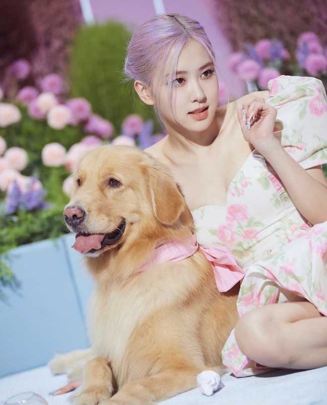 Ternyata tak hanya BLINK yang terpesona dengan penampilan Rose BLACKPINK. Ia memukau John Mayer yang mempopulerkan lagu tersebut. John Mayer mengunggah foto penampilan Rose lewat Instagram Story dengan caption, “This is gorgeous.” Foto: dok. Instagram roses_are_rosie