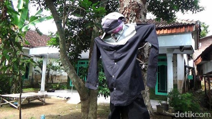 Warga di 3 RT di Desa Kutorenon, Lumajang, memasang boneka orang-orangan di depan rumah mereka. Hal ini dipercaya dapat menangkal wabah, termasuk corona.
