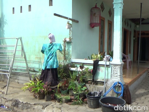 Ada pemandangan tidak biasa di Desa Kutorenon, Kecamatan Sukodono, Lumajang. Warga memasang orang-orangan di depan rumah.