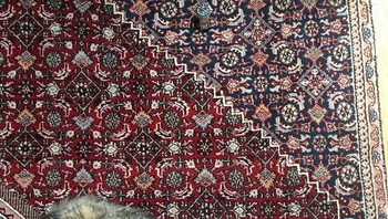 Ada yang bisa bantu mencari arloji yang jatuh? Foto: dok reddit.com/confusing_perspective