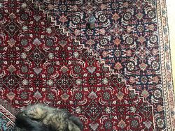 Awas! Foto Ini Mengecoh Mata, Bikin Penasaran