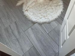 Awas! Foto Ini Mengecoh Mata, Bikin Penasaran