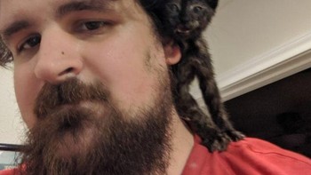 Melihat seekor kucing? Foto: dok reddit.com/confusing_perspective