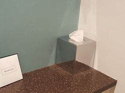 Awas! Foto Ini Mengecoh Mata, Bikin Penasaran