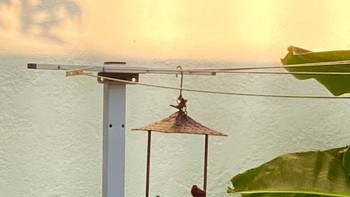 Jika kamu kira ini adalah foto pemandangan laut di waktu senja, artinya matamu terkecoh. Coba dilihat sekali lagi. Foto: dok reddit.com/confusing_perspective