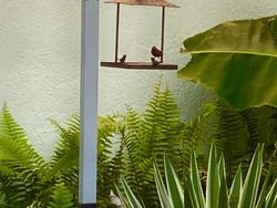 Awas! Foto Ini Mengecoh Mata, Bikin Penasaran