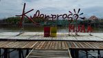 Hutan Bakau di Kulon Progo yang Disulap Jadi Tempat Wisata