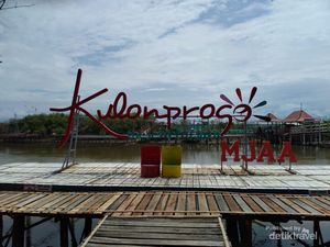 Hutan Mangrove Kulon Progo, Tempat Wisata Alam dan Edukasi yang Mempesona
