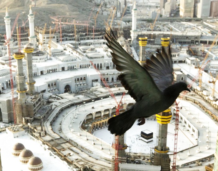 A Saudi police woman, left, who is recently deployed to the service, at top left, stands alert in front of the Al-Safa mountain, as pilgrims pray at the Grand Mosque, at the Grand Mosque, a day before the annual hajj pilgrimage, Saturday, July 17, 2021. The pilgrimage to Mecca required once in a lifetime of every Muslim who can afford it and is physically able to make it, used to draw more than 2 million people. But for a second straight year it has been curtailed due to the coronavirus with only vaccinated people in Saudi Arabia able to participate. (AP Photo/Amr Nabil)