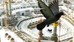 Ribuan Jemaah Tiba di Makkah, Siap Mulai Rangkaian Haji