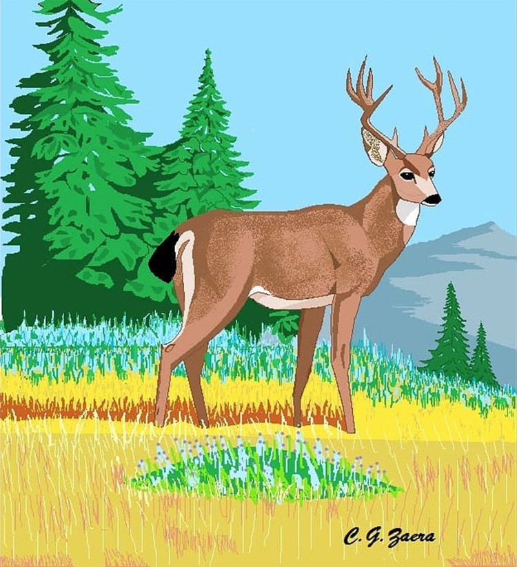 karya Concha García Zaera
