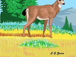 Gokil! Nenek 91 Tahun Bikin Gambar Keren Pakai Microsoft Paint