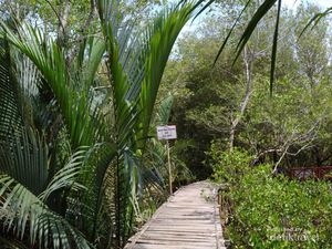 Indonesia Jangan Sampai Kehilangan Predikat Pemilik Hutan Mangrove Terluas di Dunia!