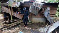 Gajah-gajah liar di dataran tinggi Gayo itu bukan hanya mengobrak abrik tanaman di kebun warga, kawanan satwa berbadan besar itu juga merusak tanaman di pekarangan Sekolah Dasar yang berada di pinggiran jalan nasional Bireuen - Takengon.  