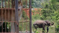 Pada 2015 terjadi 39 kali konflik, pada 2016 bertambah menjadi 44 kali. Angka itu meningkat menjadi 103 kasus pada 2017 dan menurun pada 2018 menjadi 73 kasus, namun kembali meningkat pada 2019 dan 2020 dengan catatan 107 kasus.  