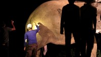 Peningkatan konflik gajah yang masih berlanjut hingga pertengahan 2021 dikhawatirkan akan berdampak terhadap kelestarian dan menyusutnya habitat satwa langka dan dilindungi itu.    