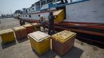 Penyebrangan Kepulauan Seribu Ditutup Untuk Wisatawan