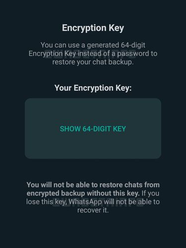 Prueba de WhatsApp de la función de copia de seguridad cifrada