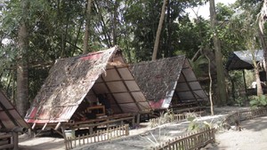 5 Hal Kenapa Kamu Harus Mengunjungi Desa Wisata Taman Ingas