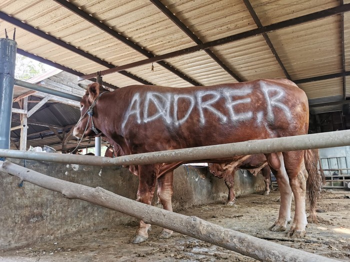 Andre Rosiade