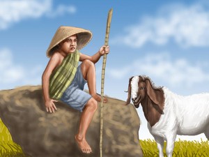Kambing Bapak
