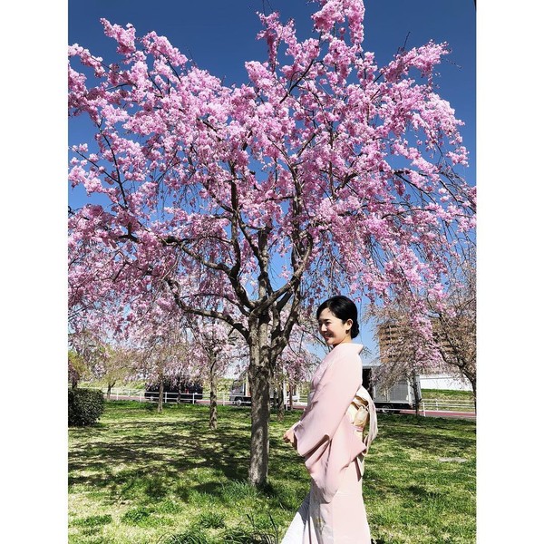 Berfoto memakai kimono dengan latar pohon sakura mekar. Sora lebih banyak menghabiskan waktunya jalan-jalan di dalam negeri saja. (Instagram/@aoi_sola) Berfoto memakai kimono dengan latar pohon sakura mekar. Sora lebih banyak menghabiskan waktunya jalan-jalan di dalam negeri saja. (Instagram/@aoi_sola)