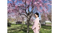 Berfoto memakai kimono dengan latar pohon sakura mekar. Sora lebih banyak menghabiskan waktunya jalan-jalan di dalam negeri saja. (Instagram/@aoi_sola)