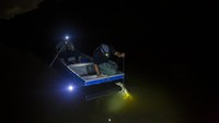 Laguna tersebut pun dipantau secara ketat oleh para ilmuwan untuk melindungi jumlah caiman di sana.  