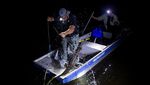 Menjaga Kelestarian Caiman di Laguna Marapendi Brasil