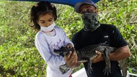 Para ilmuwan kerap datang ke Laguna Marapendi untuk memantau ribuan caiman di sana. Hal itu dilakukan para ilmuwan tersebut untuk mencegah caiman masuk dalam daftar hewan terancam punah.  