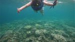 Pulau Menjangan, Indahnya Melekat Sampai Ke Hati