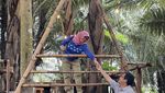 Tuur Maasering, Wisata Hutan Aren dengan Spot Instagramable