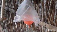 Minuman cap tikus