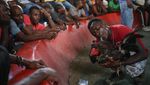 Judi Sabung Ayam Juga Ada di Haiti Loh