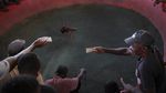 Judi Sabung Ayam Juga Ada di Haiti Loh