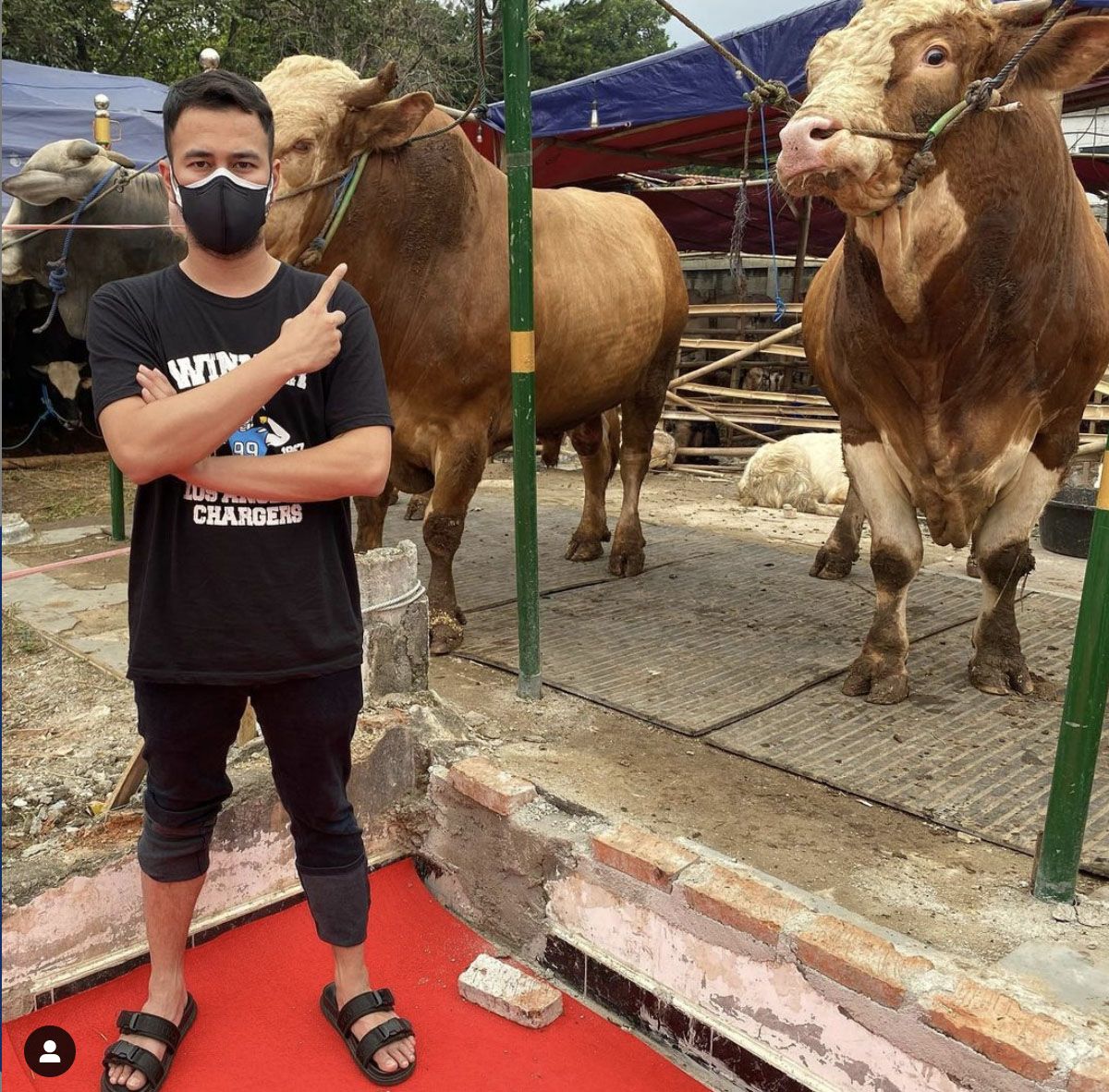 Artis dan Hewan Kurban