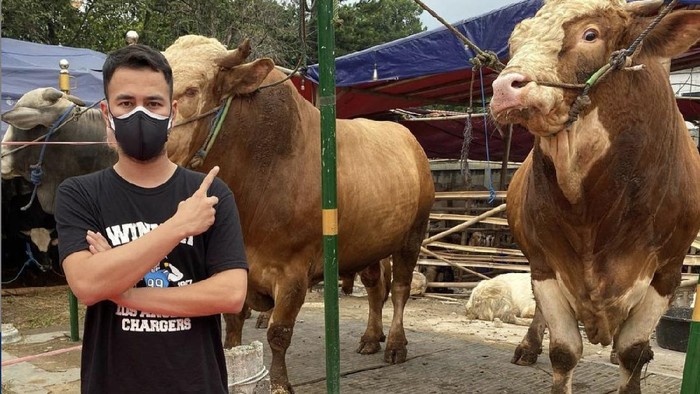 Artis dan Hewan Kurban