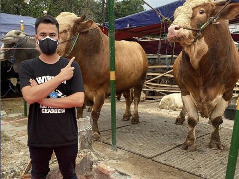 Artis dan Hewan Kurban