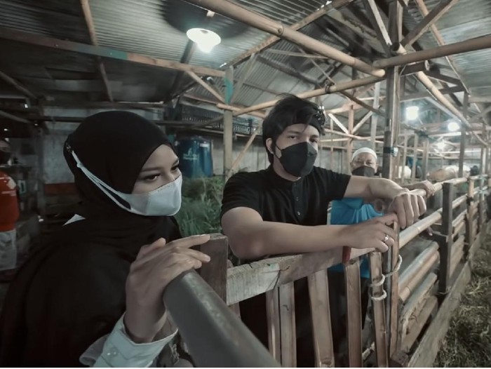 Artis dan Hewan Kurban Artis dan Hewan Kurban