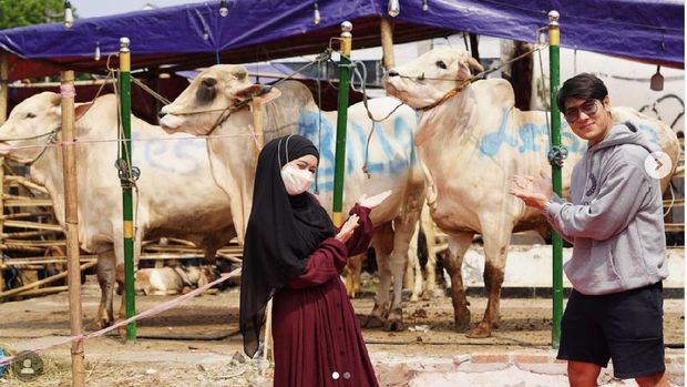 Artis dan Hewan Kurban