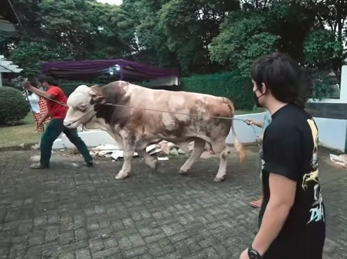 atta halilintar dan aurel hermansyah qurban