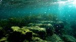 Asyiknya Bertualang ke Pelabuhan Kuno Berusia 2.400 Tahun di Siprus
