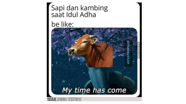 Teruntuk para sapi dan kambing, siap-siap ya besok pasti bakal jadi sorotan banget nih, eksis di mana-mana. Walaupun harus berkurban, tapi nantinya akan jadi berkah kok. Foto: 1cak.com