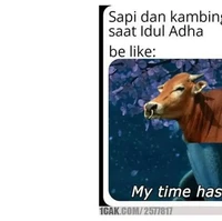 Teruntuk para sapi dan kambing, siap-siap ya besok pasti bakal jadi sorotan banget nih, eksis di mana-mana. Walaupun harus berkurban, tapi nantinya akan jadi berkah kok. Foto: 1cak.com