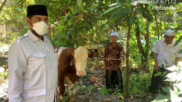 Gerindra Jatim sumbang 144 hewan kurban