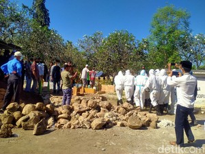 Politikus NasDem-Anggota DPRD Dompu NTB Meninggal Akibat COVID-19