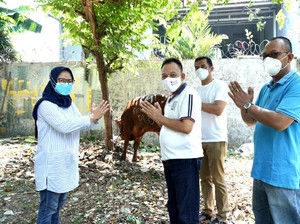 PKB Bagikan 2.500 Paket Daging Kurban Door to Door di Jaksel